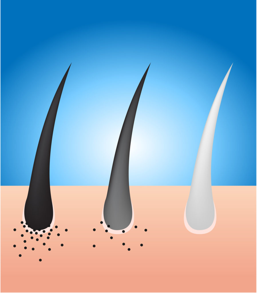 black-hair-turn-to-grey-hair-vector